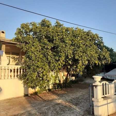 Srecko Apartman Rogoznica  Esterno foto